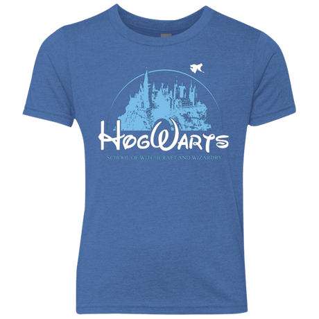 T-Shirts Vintage Royal / YXS Wizneyland Youth Triblend T-Shirt