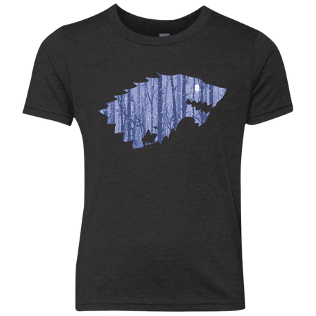 T-Shirts Vintage Black / YXS Wolf Of Winter Youth Triblend T-Shirt
