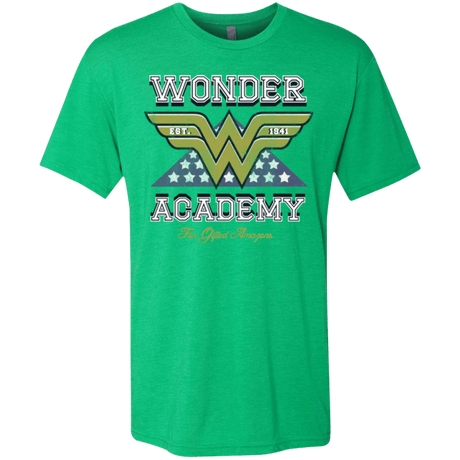 T-Shirts Envy / Small Wonder Academy Men's Triblend T-Shirt