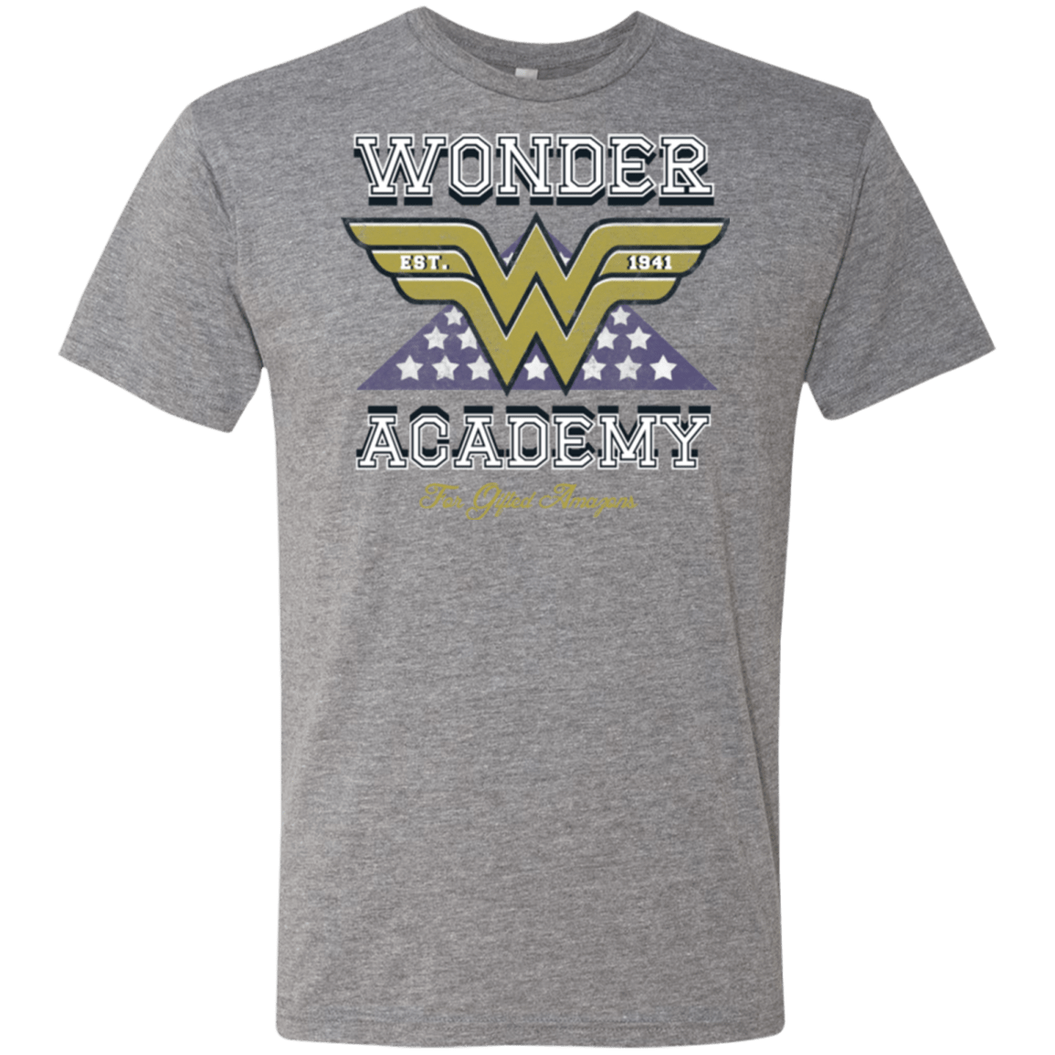 T-Shirts Premium Heather / Small Wonder Academy Men's Triblend T-Shirt