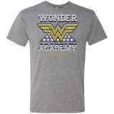 T-Shirts Premium Heather / Small Wonder Academy Men's Triblend T-Shirt