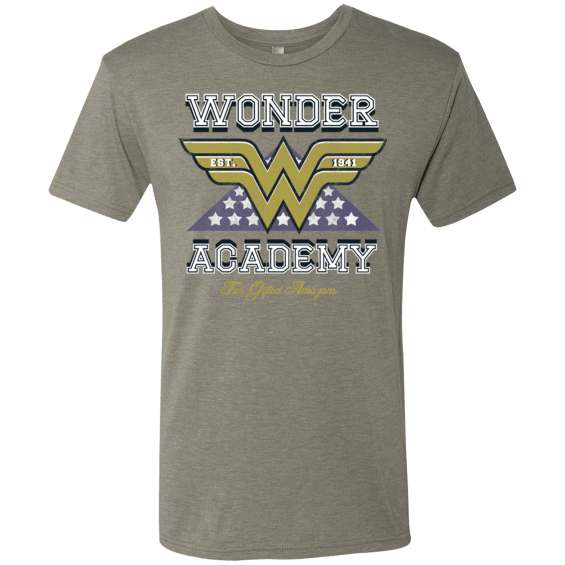 T-Shirts Venetian Grey / Small Wonder Academy Men's Triblend T-Shirt