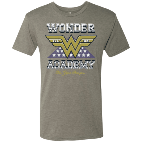 T-Shirts Venetian Grey / Small Wonder Academy Men's Triblend T-Shirt