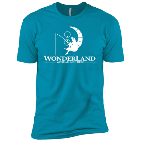 T-Shirts Turquoise / YXS Wonderland Animation Boys Premium T-Shirt