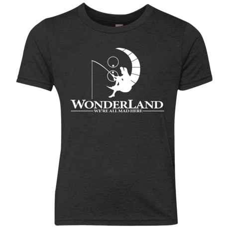 T-Shirts Vintage Black / YXS Wonderland Animation Youth Triblend T-Shirt