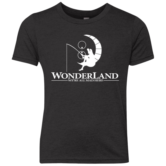 T-Shirts Vintage Black / YXS Wonderland Animation Youth Triblend T-Shirt