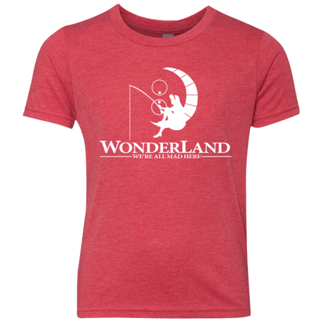 T-Shirts Vintage Red / YXS Wonderland Animation Youth Triblend T-Shirt
