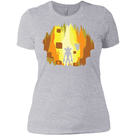 T-Shirts Heather Grey / X-Small Wumpa World Women's Premium T-Shirt