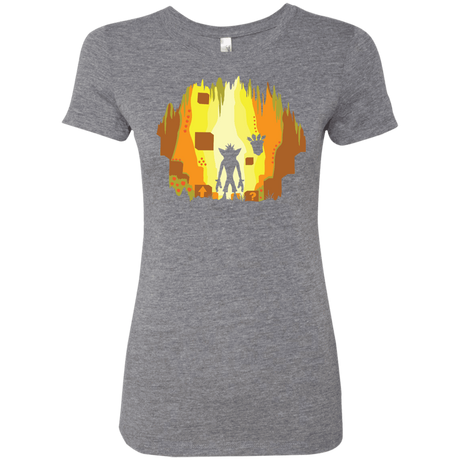 T-Shirts Premium Heather / S Wumpa World Women's Triblend T-Shirt