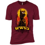 WWSD Men's Premium T-Shirt