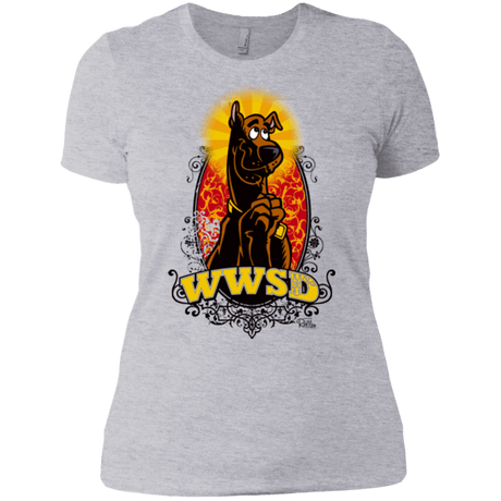 T-Shirts Heather Grey / X-Small WWSD Women's Premium T-Shirt