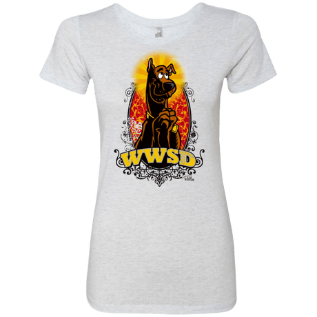 T-Shirts Heather White / Small WWSD Women's Triblend T-Shirt