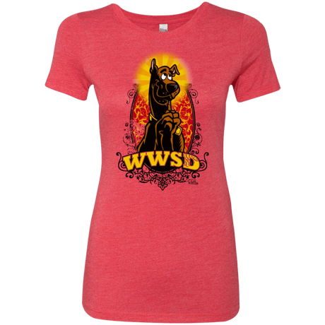 T-Shirts Vintage Red / Small WWSD Women's Triblend T-Shirt