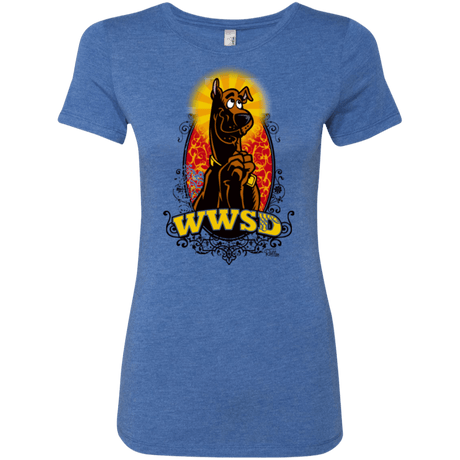 T-Shirts Vintage Royal / Small WWSD Women's Triblend T-Shirt