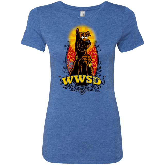 T-Shirts Vintage Royal / Small WWSD Women's Triblend T-Shirt