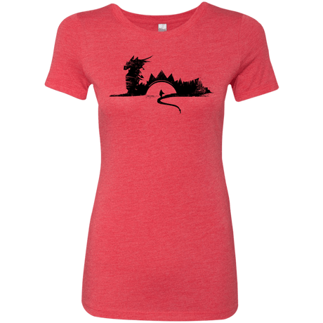 T-Shirts Vintage Red / S You Know Nuthin Women's Triblend T-Shirt