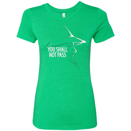 T-Shirts Envy / Small YOU SHALL NOT PASS (2) Women's Triblend T-Shirt