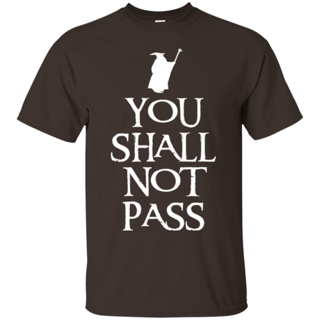T-Shirts Dark Chocolate / Small You shall not pass T-Shirt