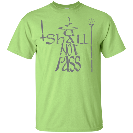 T-Shirts Mint Green / YXS You Shall Not Pass Youth T-Shirt