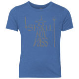 You Shall Not Pass Youth Triblend T-Shirt