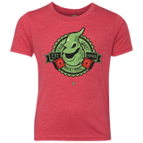 T-Shirts Vintage Red / YXS YOUR WORST NIGHTMARE Youth Triblend T-Shirt