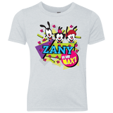 Zany Youth Triblend T-Shirt