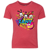 Zany Youth Triblend T-Shirt
