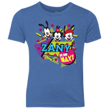 Zany Youth Triblend T-Shirt