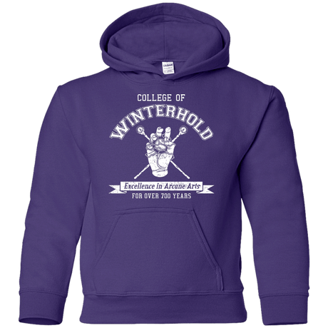 Youth_Hoodie Purple / YS College of Winterhold Youth Hoodie