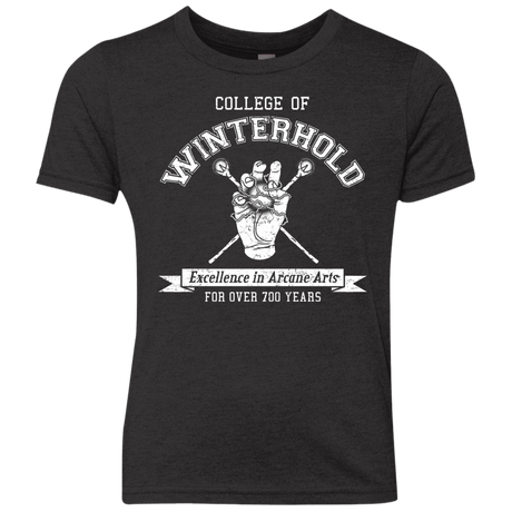 Youth_Triblend T-Shirts Vintage Black / YXS College of Winterhold Youth Triblend T-Shirt
