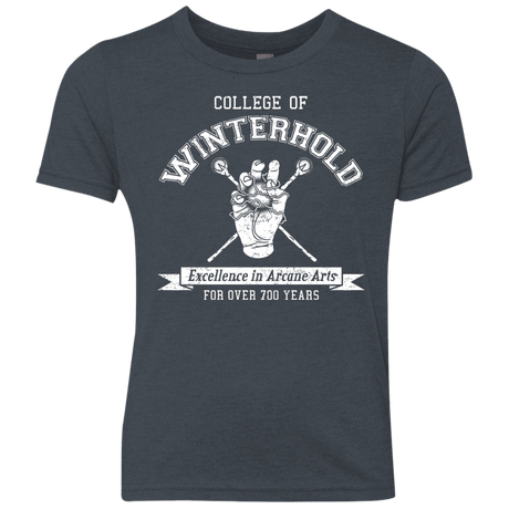 Youth_Triblend T-Shirts Vintage Navy / YXS College of Winterhold Youth Triblend T-Shirt